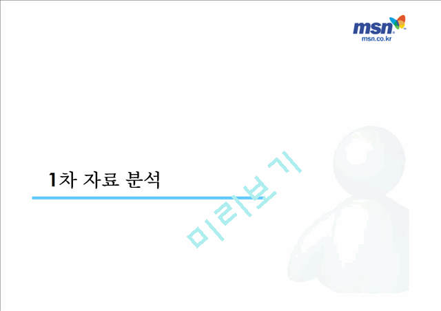 MSN messenger service   (10 )